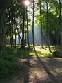 summer-camp-11-054