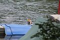 summer-camp-11-203