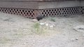Philmont-027