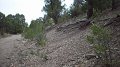 Philmont-028