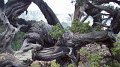 Philmont-042