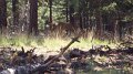 Philmont-049