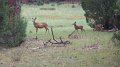 Philmont-056