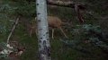 Philmont-060