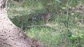 Philmont-067