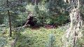 Philmont-070