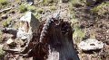 Philmont-108