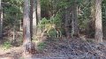 Philmont-127