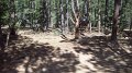 Philmont-130