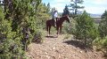 Philmont-136