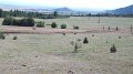 Philmont-139