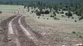 Philmont-142