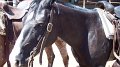 Philmont-144