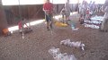Philmont-267
