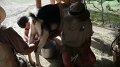 Philmont-310
