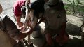 Philmont-311