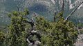 Philmont-334