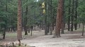 Philmont-416