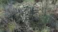 Philmont-433