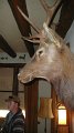 Philmont-462