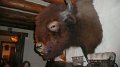 Philmont-465