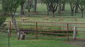 Philmont-474