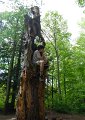 high-bank10