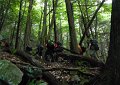 high-bank19